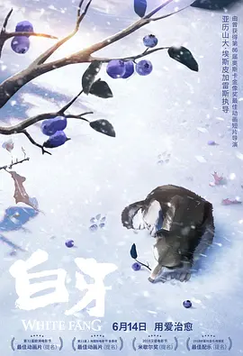 影片由《孤注一掷》金牌班底打造，导演申奥，监制宁浩，肖央、齐溪、任达华、郑恺主演，影片以“人质视角”切入，首次揭露极端势力运作内幕，展现文明 《阿凡达3》《用武之地》……2025贺岁档前瞻来了 2025-11-21 随着岁末临近，2025贺岁档电影市场正式拉开序幕。